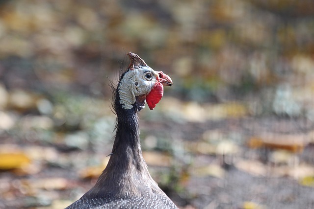 img3.webp