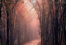 九游官网:伯利谈建球场:必须从长远考虑,这是我与其他股东继续合作的关键.