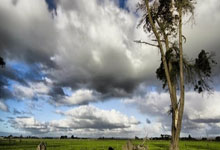 [图]世预赛-张玉宁补时绝杀 国足1-0巴林收获两连胜.